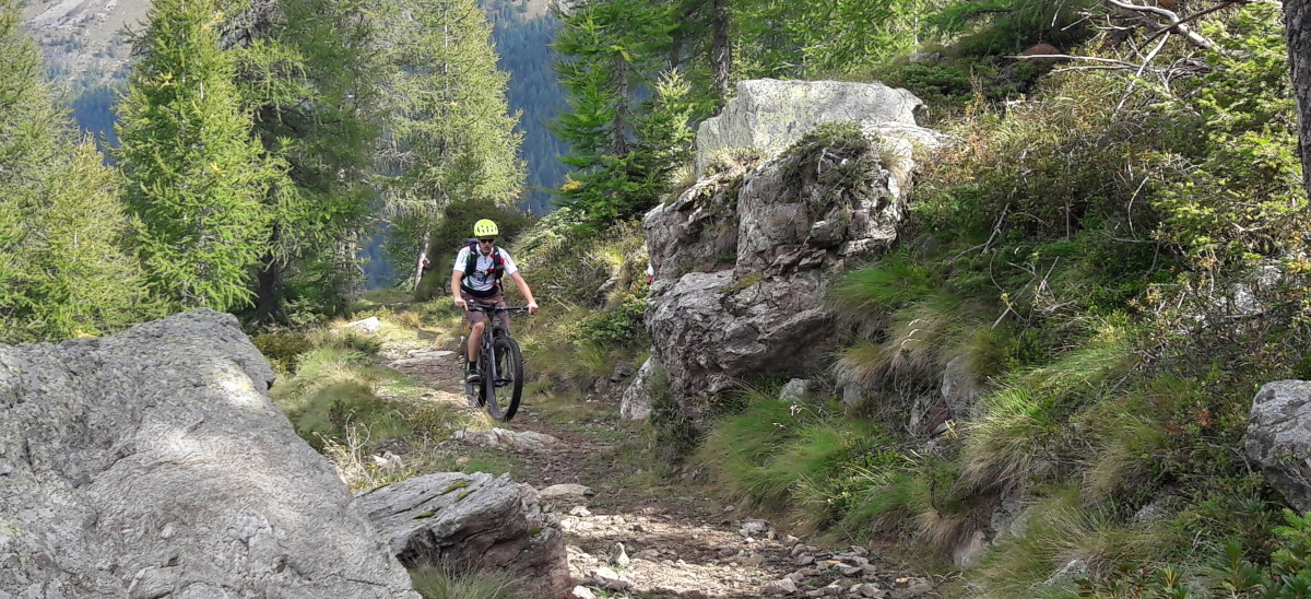 Casco POC da Bikester