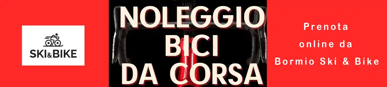 Noleggio la tua bici da corsa