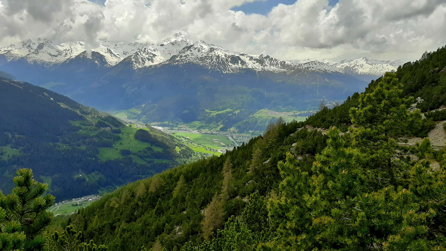 Vista su Bormio