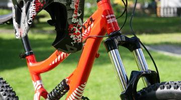 Bici da freeride