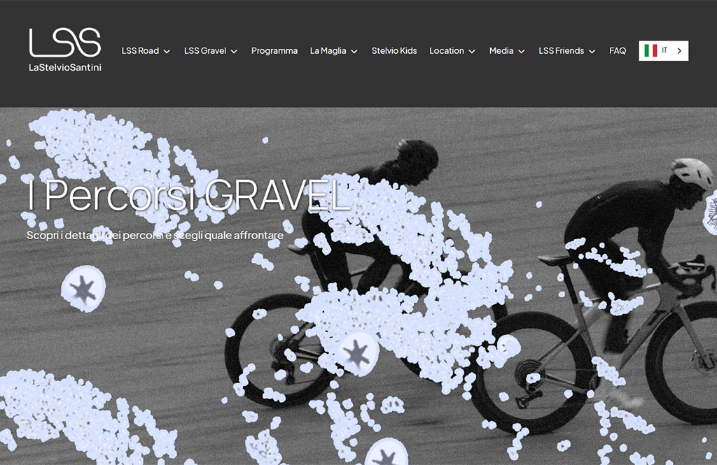 Stelvio Santini Gravel 2026